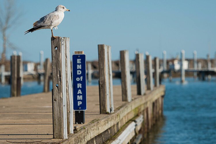 <span class="content-image-text">Wildwood Park Marina</span>