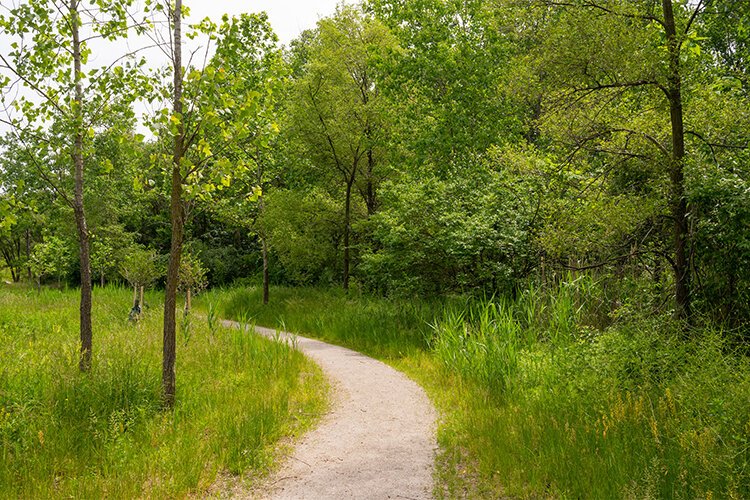 The opening of Brighton Park brought 25 acres of trees, meadows and trails to Old Brooklyn.