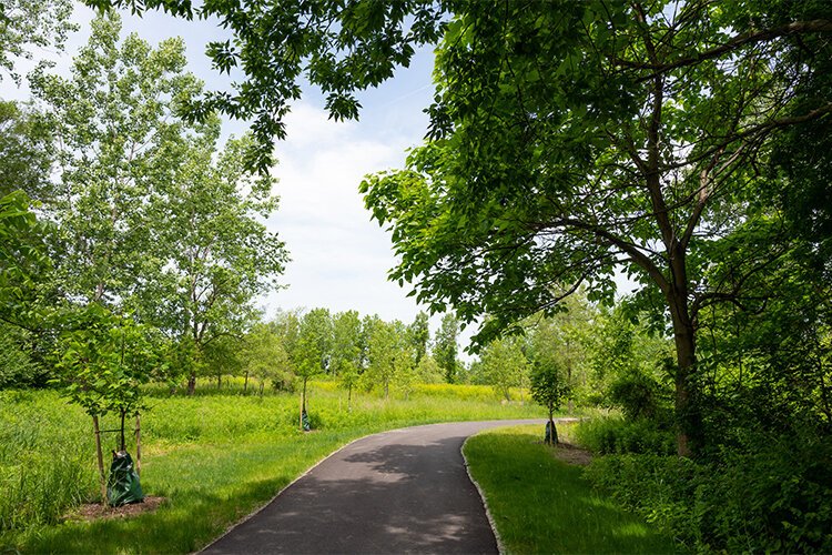 The opening of Brighton Park brought 25 acres of trees, meadows and trails to Old Brooklyn.