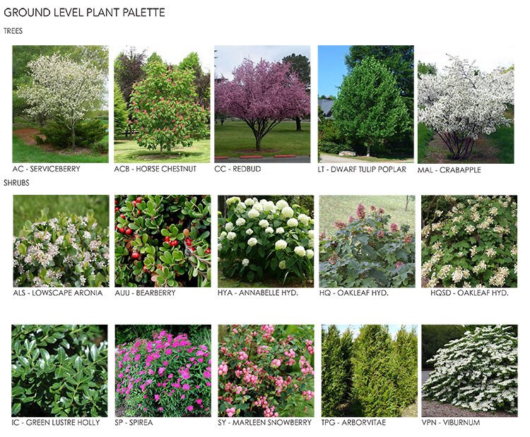 Lincoln Plant Palette