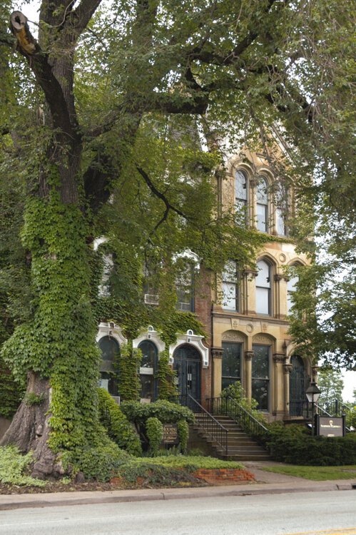 <span class="content-image-text">The Prospect Ave Historic Elm in all it's glory in 2006</span>