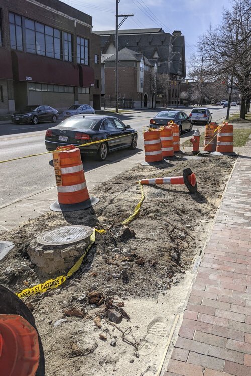 The empty space where the historic Elm once stood.