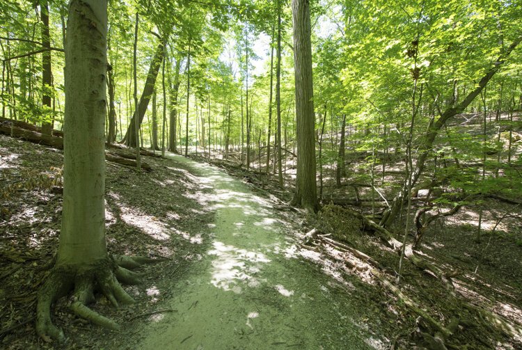 West Creek Reservation mountain biking