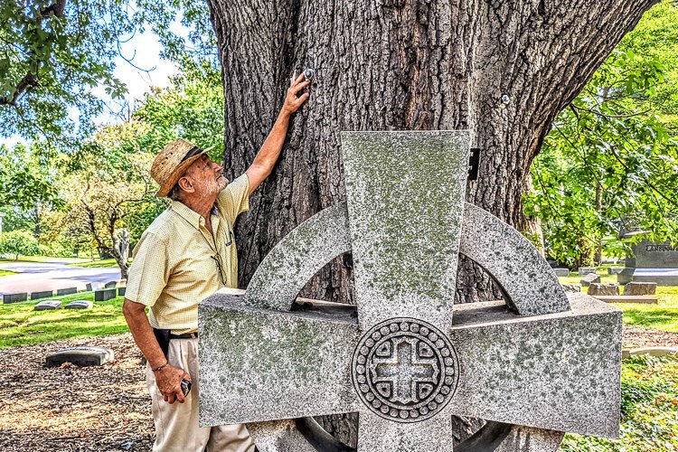 <span class="content-image-text">Roy Larick inspects a Moses Cleaveland tree at Lake View Cemetery</span>