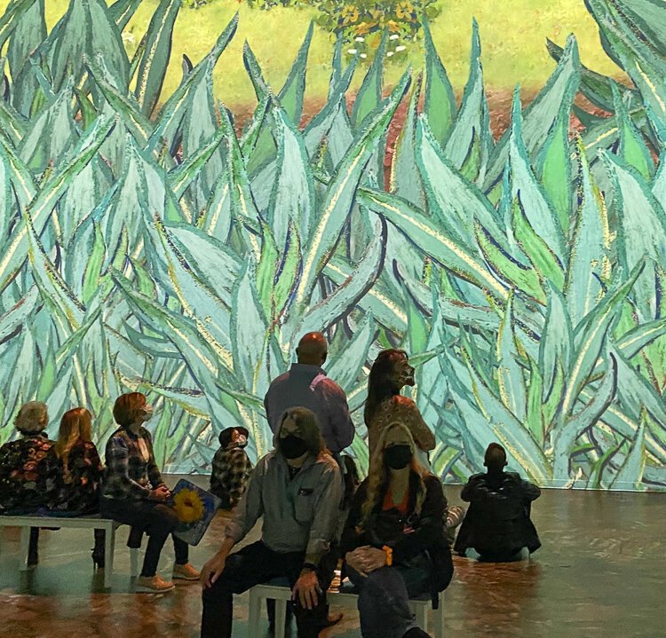Immersive Van Gogh Exhibit Cleveland