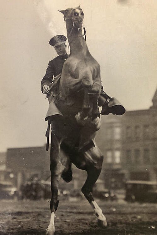 Officer Agustus Foley and King Barrymore 1930’s