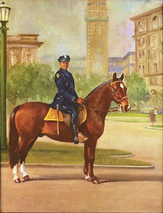 <span class="content-image-text">Skippy was a Morgan horse who served with the Cleveland Division of Police in the late 1930s and early 1940s. His rider was Patrolman Anthony E. Welling.</span>