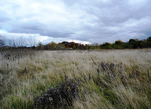 Henninger landfill